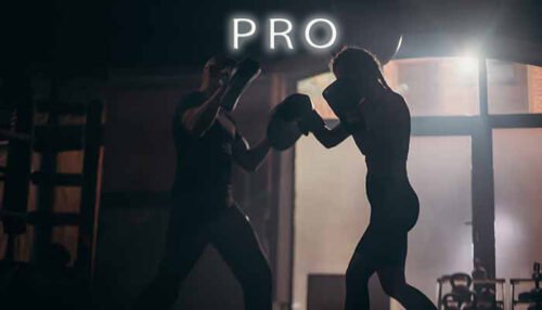 PRO Boxer Personal Training